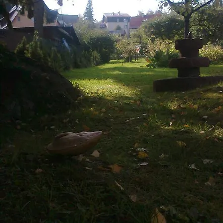 Nad Stawem *